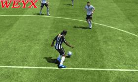 FIFA13ʮ˽ѧ()