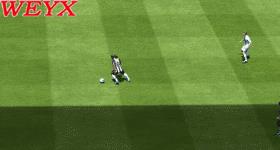 FIFA13ʮ˽ѧ()