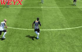 FIFA13ʮ˽ѧ()